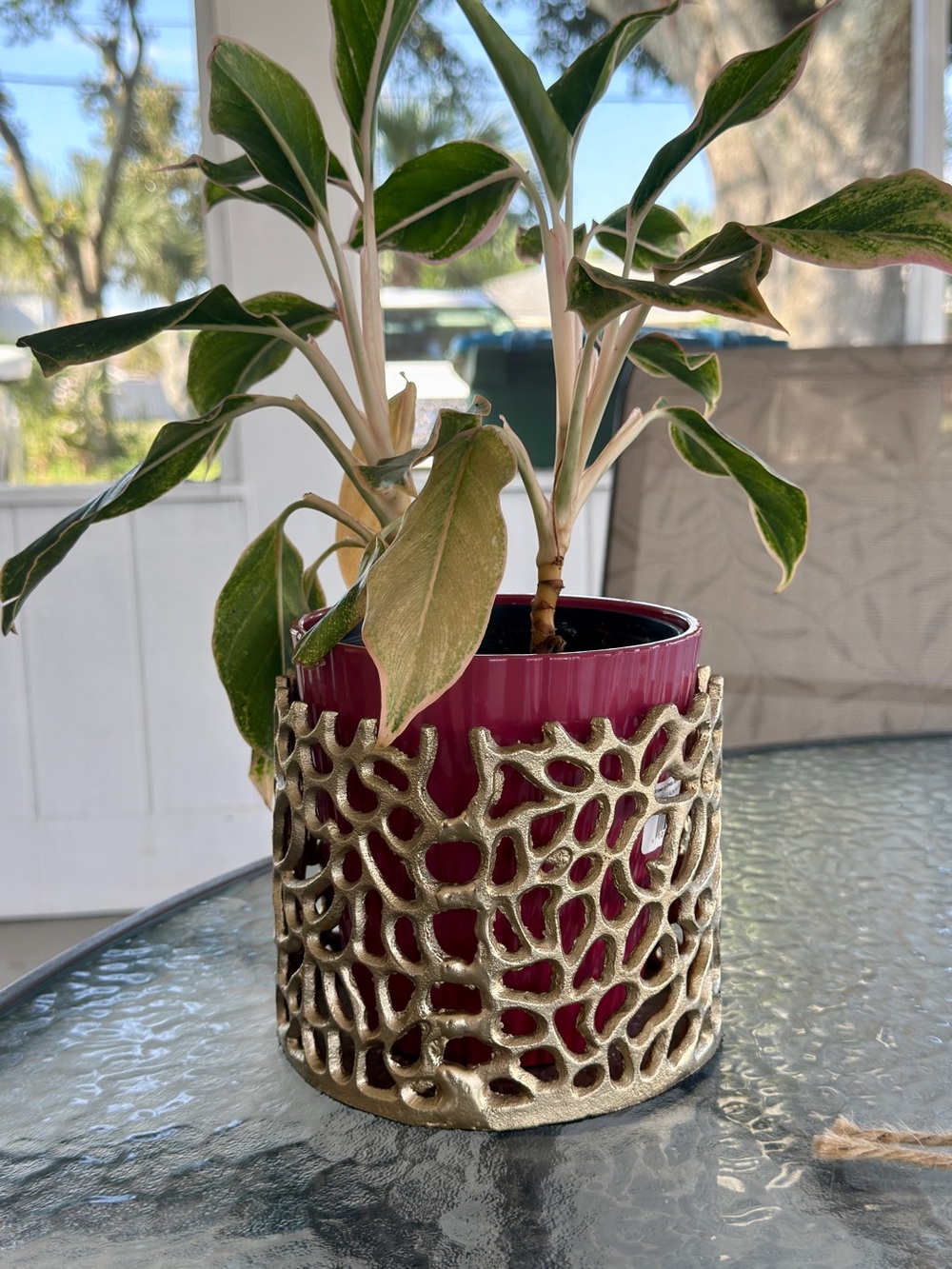 NEW! Metal Gold CORAL Planter Pot Nautical Beach Coastal Chic Decor Holder